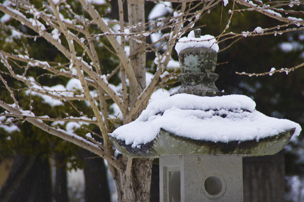 神社の雪化粧