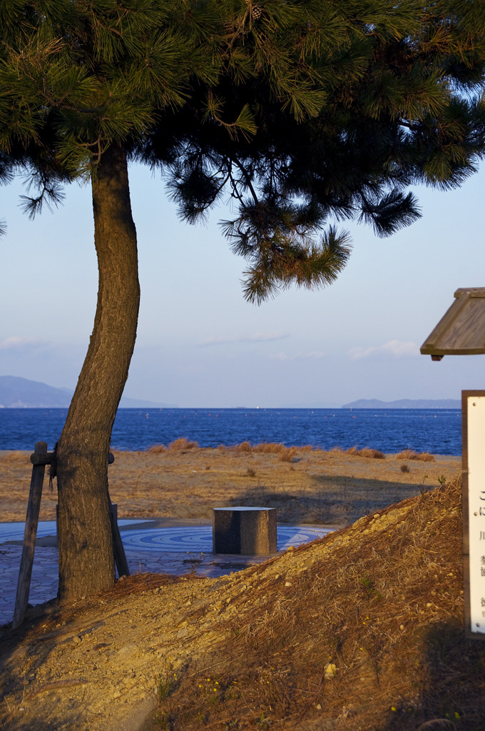 冬の小松海岸