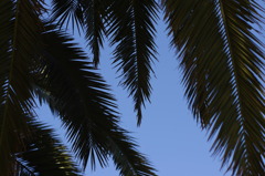 冬に撮った夏写真