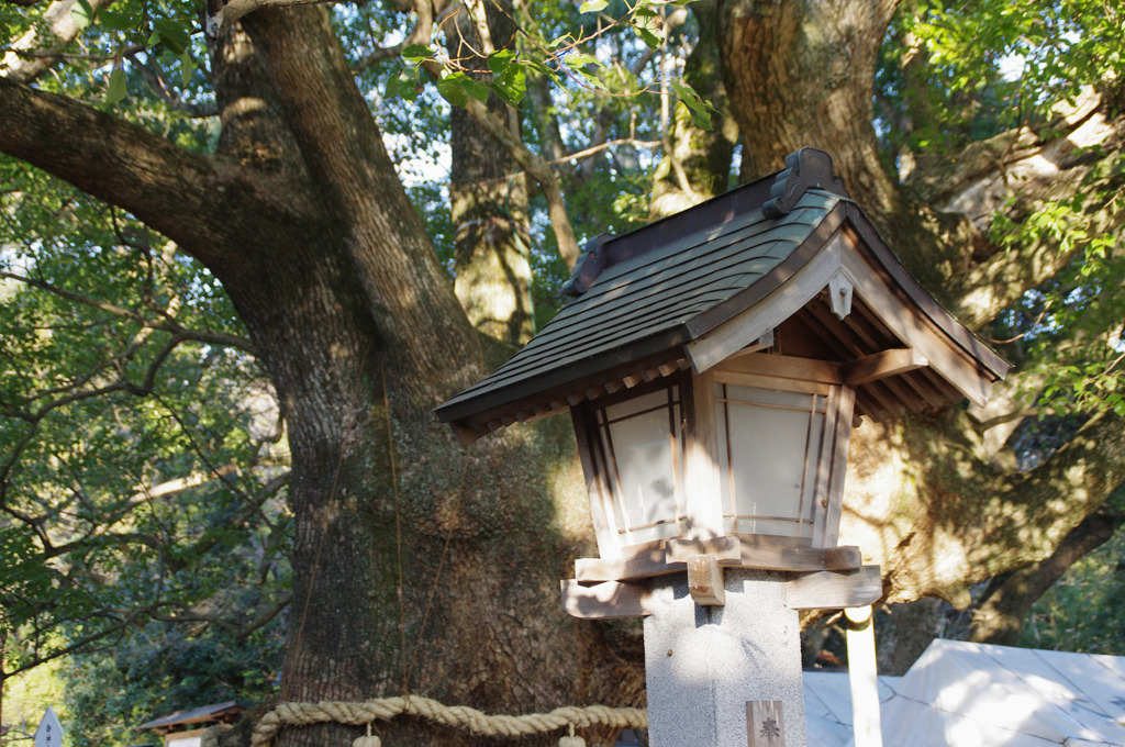 神社境内にて