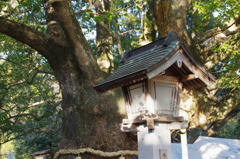 神社境内にて