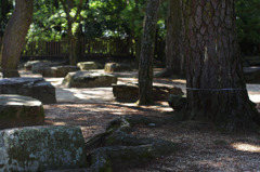庭園