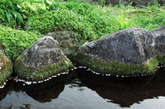 ひと休み
