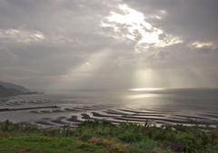 浜2