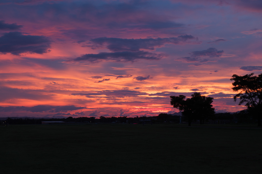 夕焼　1