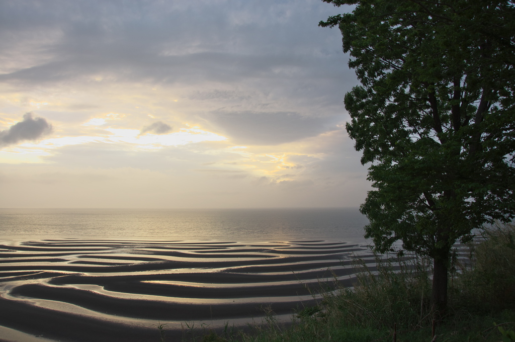 浜