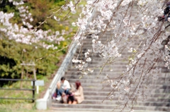 春