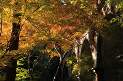 南禅寺：橋景