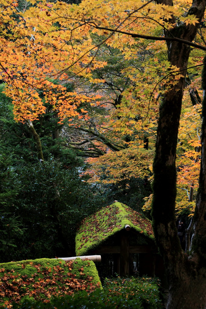 原風景
