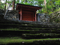 緑絨毯