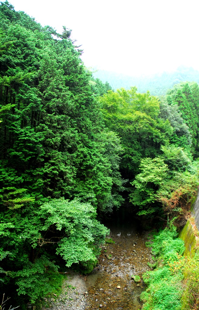 武蔵　風景