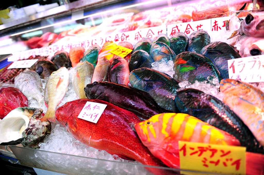 沖縄の公設市場　不思議な魚がいっぱいでした