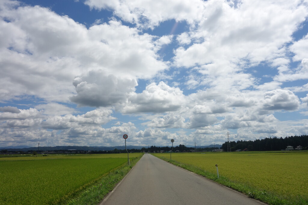 夏の雲と田んぼ
