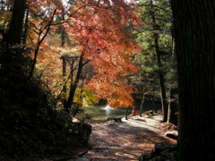 ひなたぼっこ…（多分）