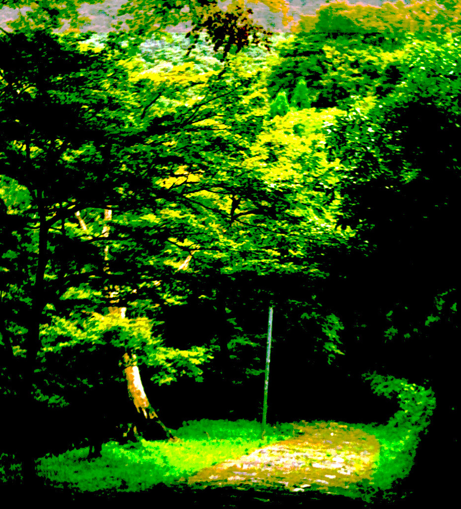 path
