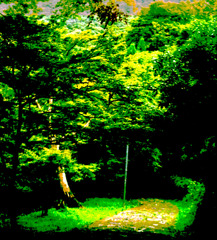 path