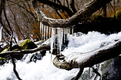氷柱の橋