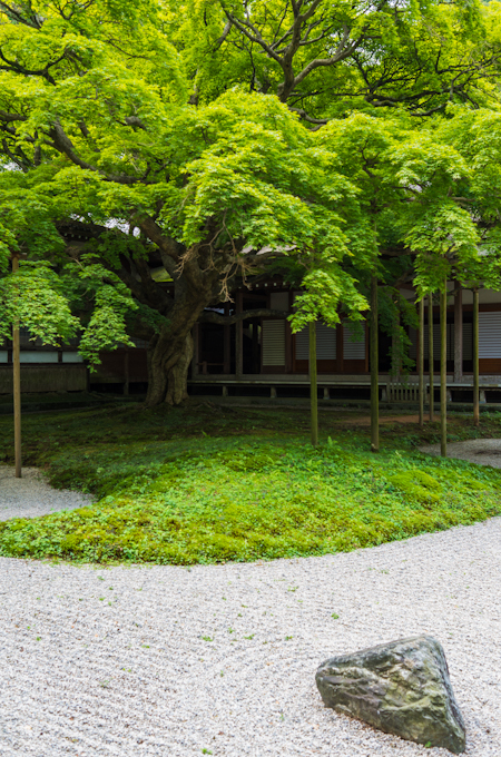 枯山水