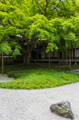 枯山水