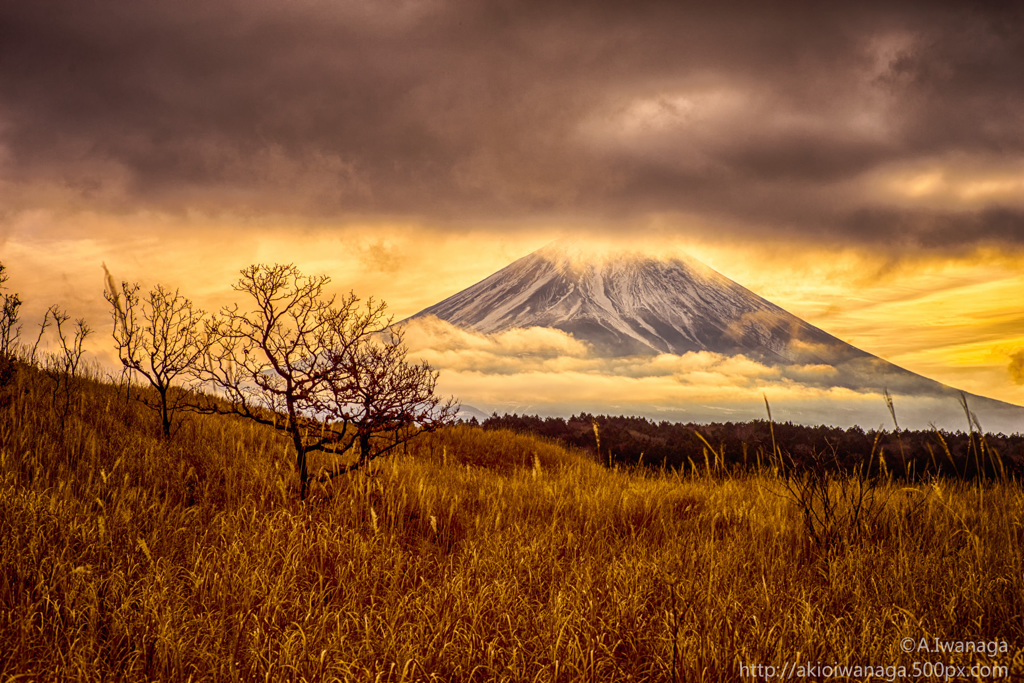 荒野の富士