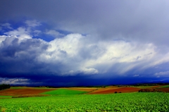雨雲