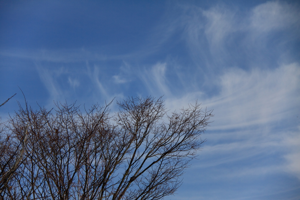 晩秋の空