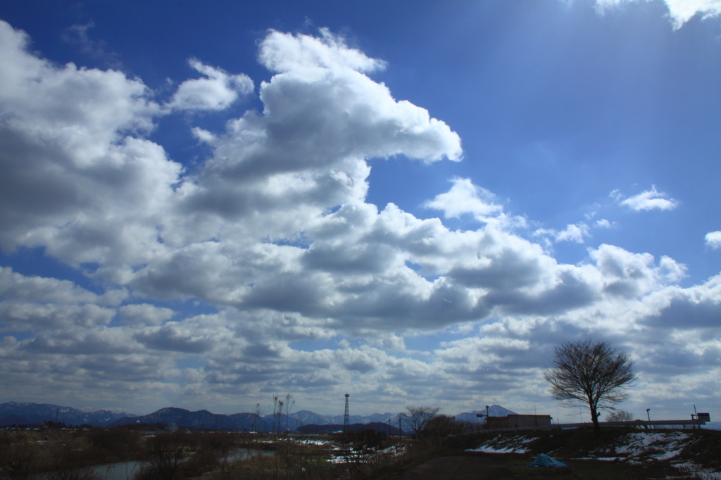 久しぶりの青空