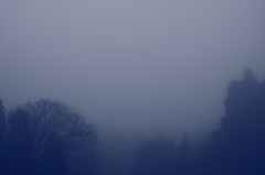 dense fog