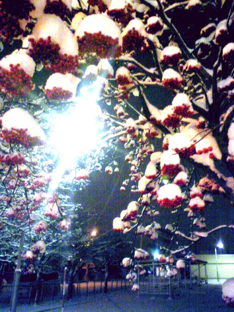 冬と秋のハザマで