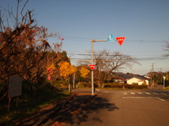 だれもいない