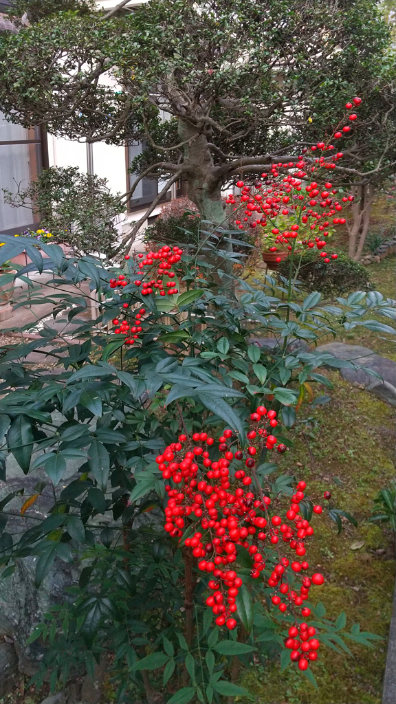 くる年の先駆け