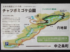 チャツボミゴケ公園　1/7