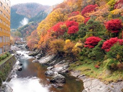 湯瀬温泉（秋田県）の紅葉