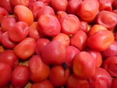 UME1474