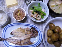 今日のごはん4月23日