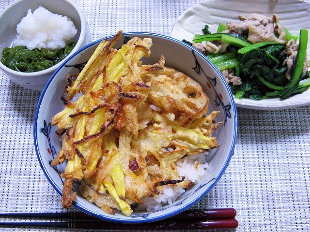今日のごはん9月24日