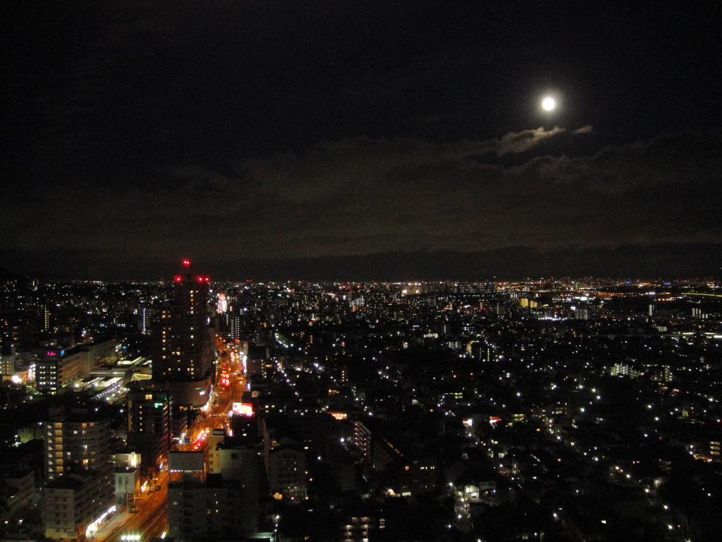 十六夜月