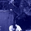 NSM200