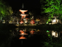 大覚寺真紅のライトアップ