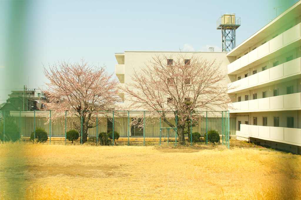 春近し