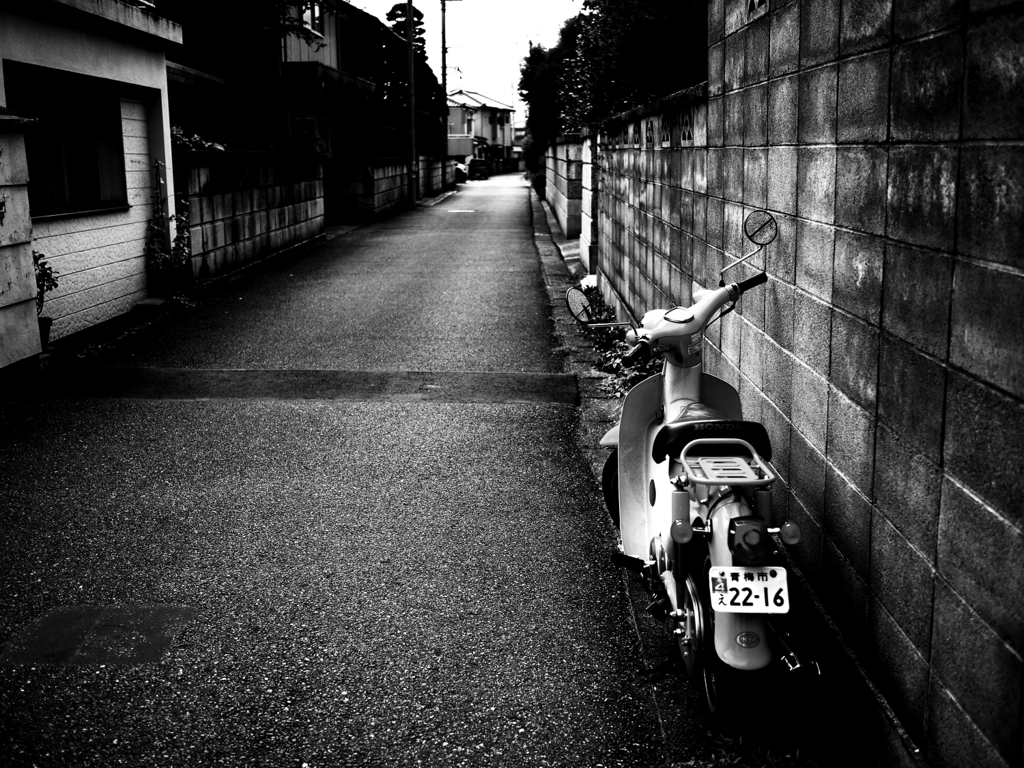 青梅　2011　ホームシック