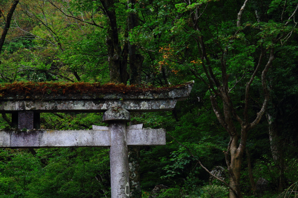 昇仙峡　2011　鳥居