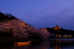 観桜の夕べ