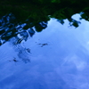 道保川公園　2011　空を滑る