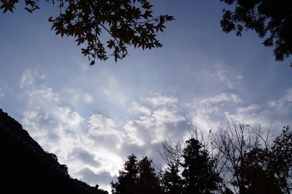 お寺での空