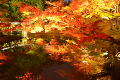 mirror pond