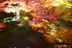 池の中の紅葉