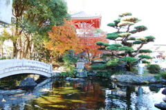 六番　安楽寺　2