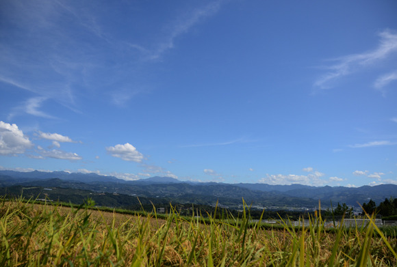 DSC_2417