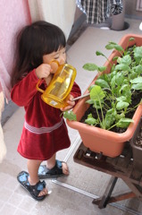 水遣り